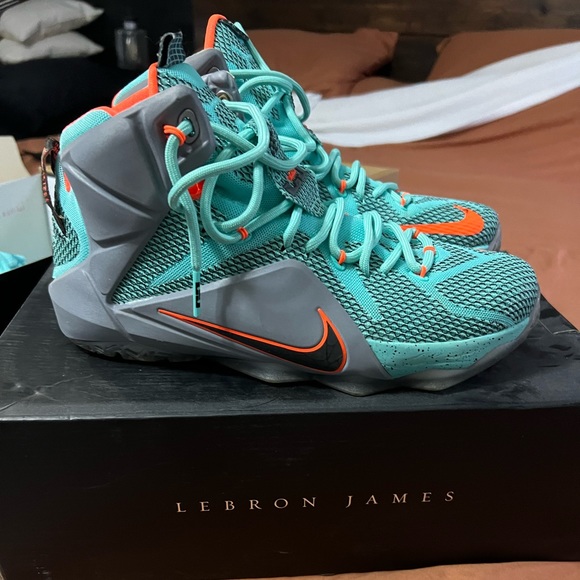 lebron james Other - Lebron James tennis shoes